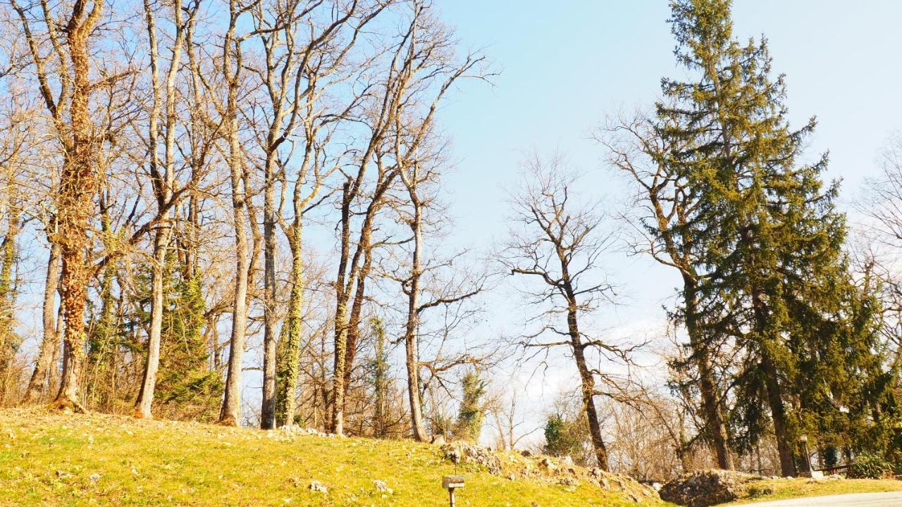 La Garenne De Morestel Екстериор снимка